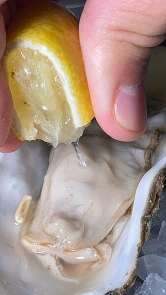 LINE_ALBUM_威爾森公園_241029_48 LINE_ALBUM_威爾森公園_241029_48