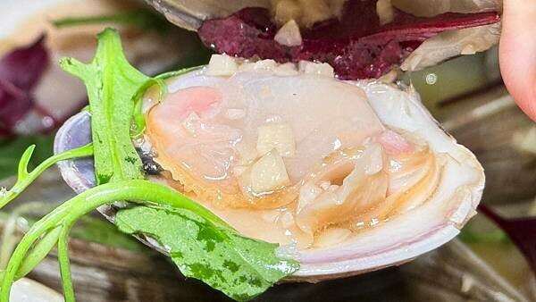 LINE_ALBUM_威爾森公園_241029_62 LINE_ALBUM_威爾森公園_241029_62