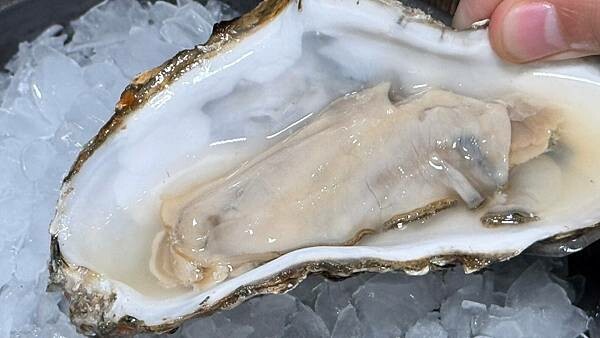 LINE_ALBUM_威爾森公園_241029_26 LINE_ALBUM_威爾森公園_241029_26