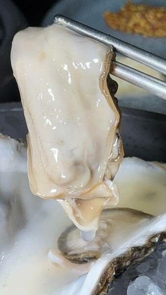 LINE_ALBUM_威爾森公園_241029_54 LINE_ALBUM_威爾森公園_241029_54