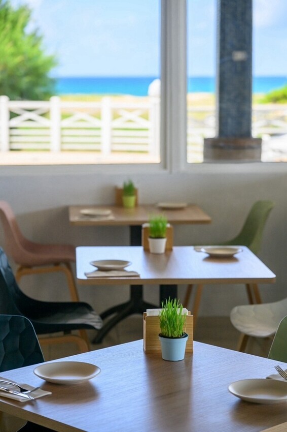 S__163406137_副本.jpg S__163406137_副本.jpg