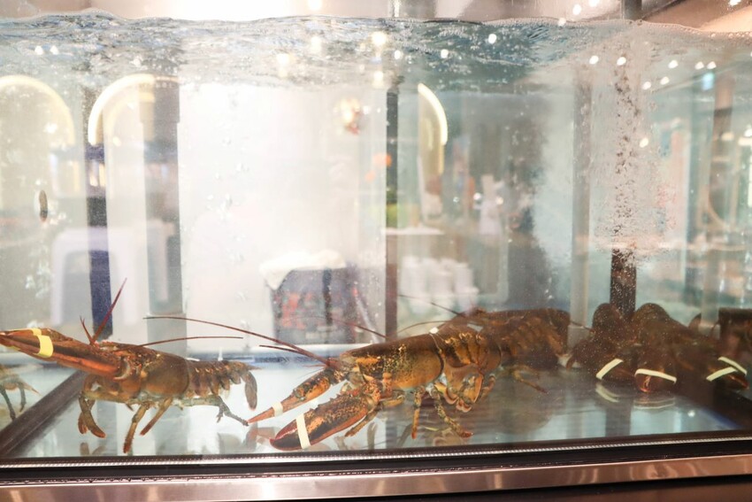 中山區知名火鍋店進軍百貨商圈，單點鍋物328元起就享有時蔬、自助吧吃到飽