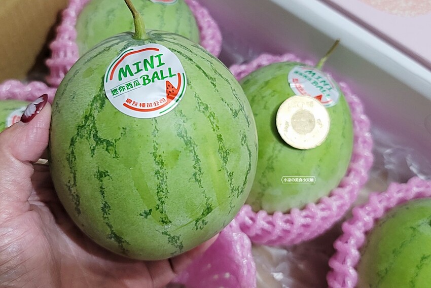 獨家限定！超萌迷你小西瓜，皮薄肉多、清甜又多汁，今年中秋送禮送這最有梗！！