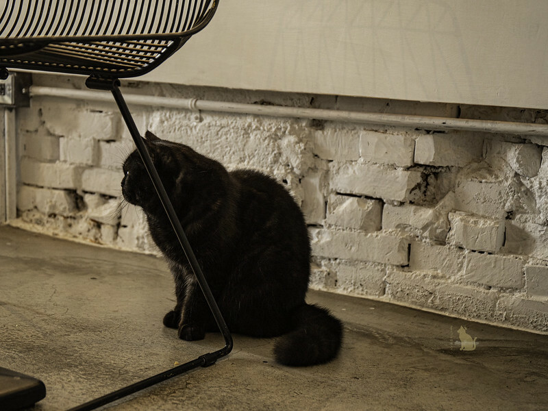 台中北區｜ OOO 蔬食餐酒館 靈魂咖哩觸動人心