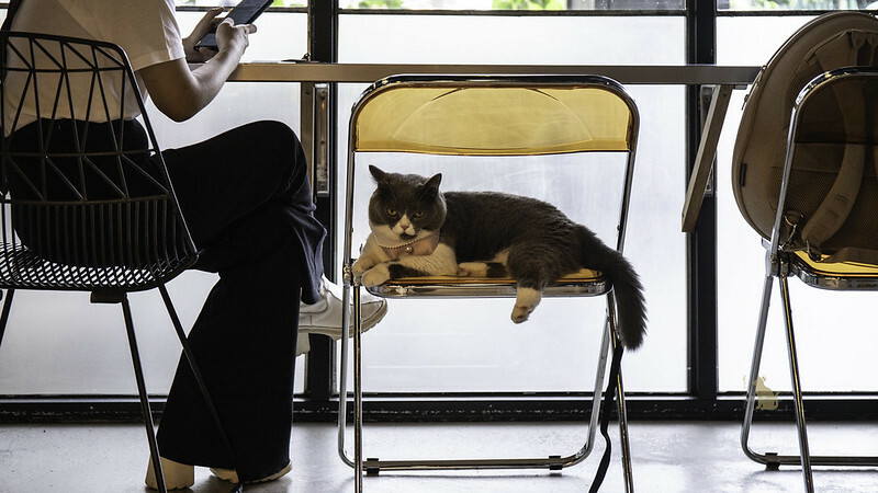 台中北區｜ OOO 蔬食餐酒館 靈魂咖哩觸動人心