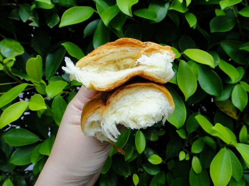 【美食】「川雨」鹽可頌、波蘿、蛋黃酥,大安區麵包店推薦、科技
