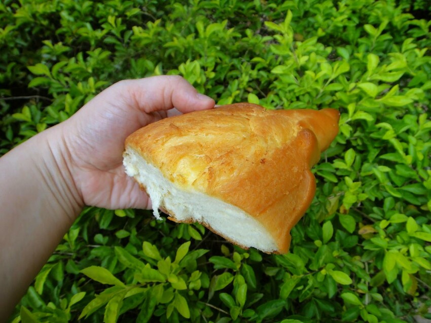 【美食】「川雨」鹽可頌、波蘿、蛋黃酥,大安區麵包店推薦、科技