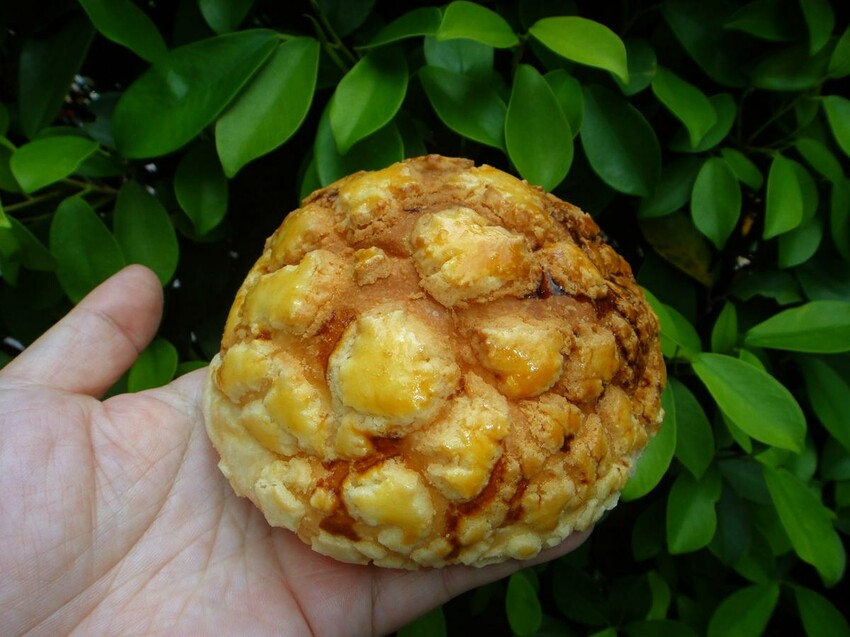 【美食】「川雨」鹽可頌、波蘿、蛋黃酥,大安區麵包店推薦、科技