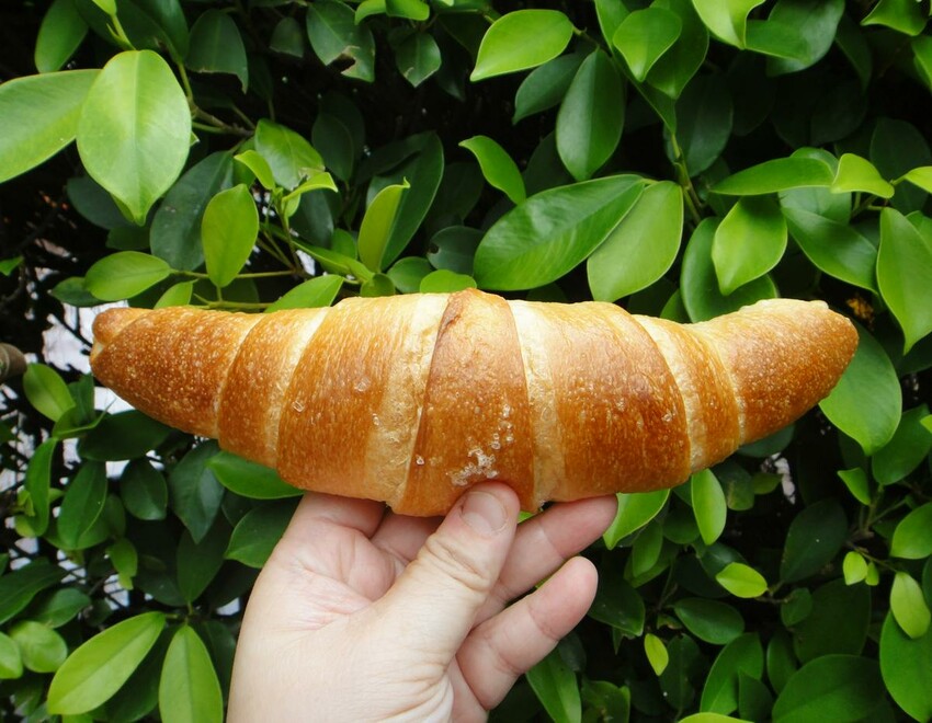 【美食】「川雨」鹽可頌、波蘿、蛋黃酥,大安區麵包店推薦、科技