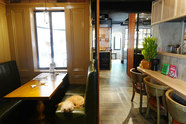 有優雅用餐環境與紅酒啤酒搭配的中和精緻牛肉麵餐廳-永安站寶聖瑞牛肉麵休閒餐廳,中和必吃牛肉麵餐廳