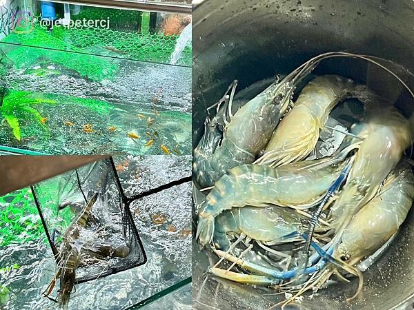 LINE_ALBUM_20230730 _7_230801_4.jpg