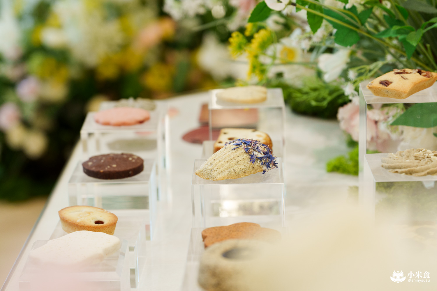 台中市西區Bloom花神精品法式喜餅｜浪漫花草系，牽起愛情想像，2025喜餅推薦，台中手工喜餅禮盒