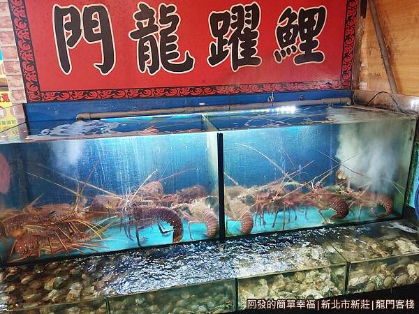龍門客棧06-活龍蝦.jpg