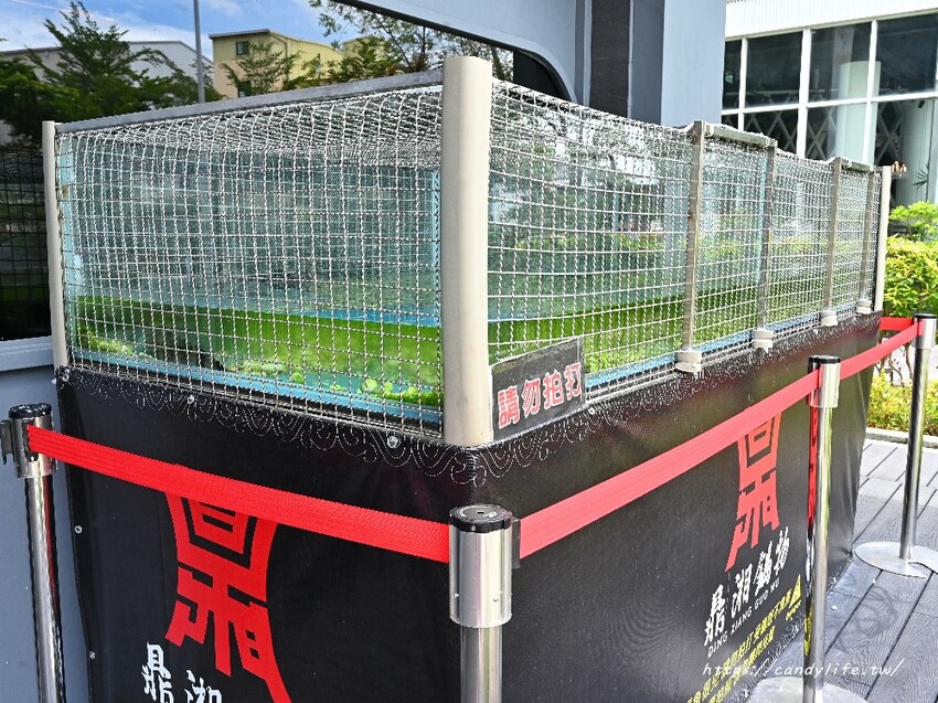 鼎湘鍋物｜這間火鍋好狂～除了日本A5和牛竟然還吃得到鱷魚肉！還有蔬菜、冰淇淋、咖啡、飲品自助吧吃到飽～