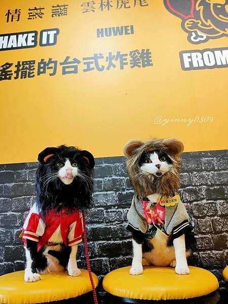 萬惡美食之跟著小獅王盡情搖擺🦁炸雞大獅|雲林美食 萬惡美食之跟著小獅王盡情搖擺🦁炸雞大獅|雲林美食