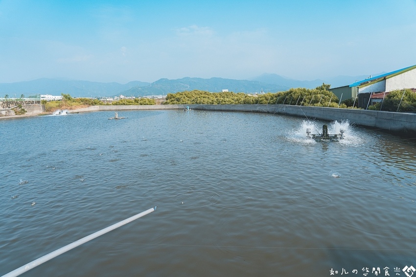 【屏東旅遊／景點】枋寮一日農漁村小旅行｜走讀新龍社區感受龍之美、體驗一日漁夫、欣賞山海美景｜親子旅遊