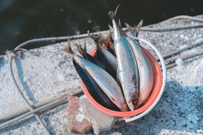 【屏東旅遊／景點】枋寮一日農漁村小旅行｜走讀新龍社區感受龍之美、體驗一日漁夫、欣賞山海美景｜親子旅遊