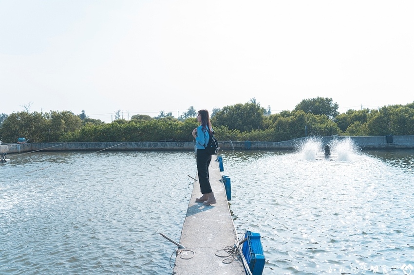 【屏東旅遊／景點】枋寮一日農漁村小旅行｜走讀新龍社區感受龍之美、體驗一日漁夫、欣賞山海美景｜親子旅遊