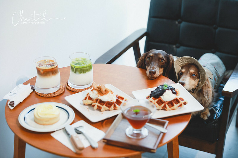 1J6A7752-2拷貝 拷貝