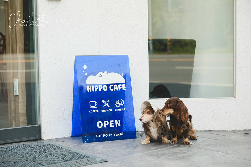 1J6A7737-2拷貝 拷貝