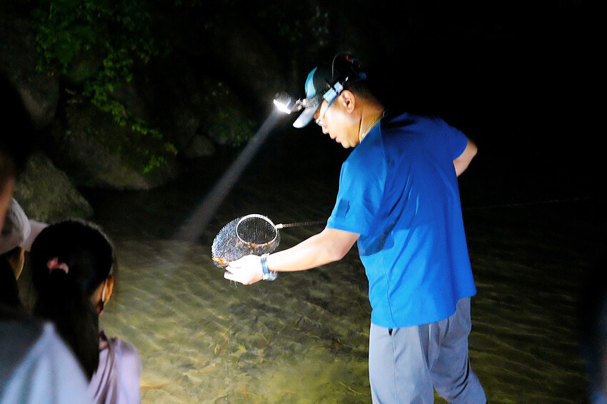 南投親子露營「溪部好呆庄」,主題露營車、親子四人房,溪邊玩水