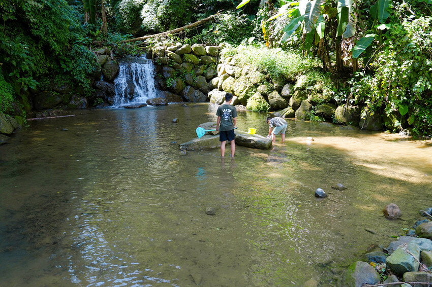 南投親子露營「溪部好呆庄」,主題露營車、親子四人房,溪邊玩水