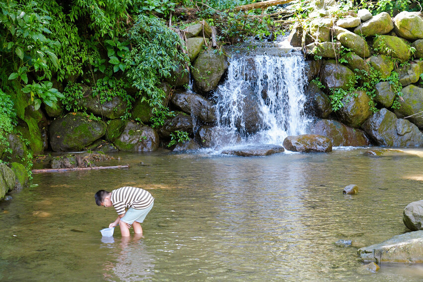 南投親子露營「溪部好呆庄」,主題露營車、親子四人房,溪邊玩水