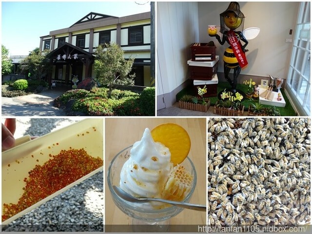 【宜蘭住宿】海邊民宿|龜山島日出|秘境沙灘|和服體驗|燒鳥居