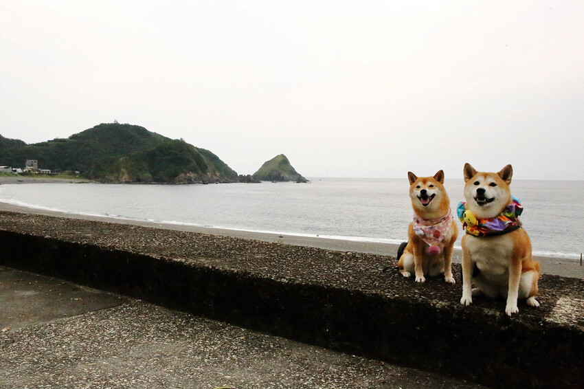 「笑ㄟ咖啡」宜蘭南方澳海景餐廳，坐擁內埤情人灣的無敵海景，踩