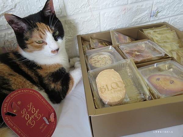 花神45.JPG 花神45.JPG