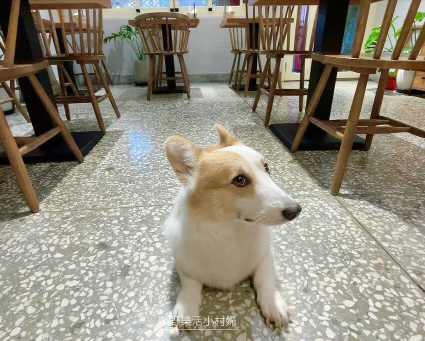 宜蘭》隱藏巷弄裡的文青老宅牛肉麵《宜吃牛》大吉大利諸事順利，