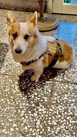 IMG_8166.jpg IMG_8166.jpg