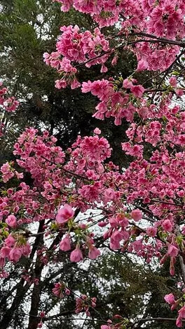 IMG_8150.jpg IMG_8150.jpg