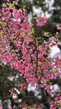 IMG_8164.jpg IMG_8164.jpg