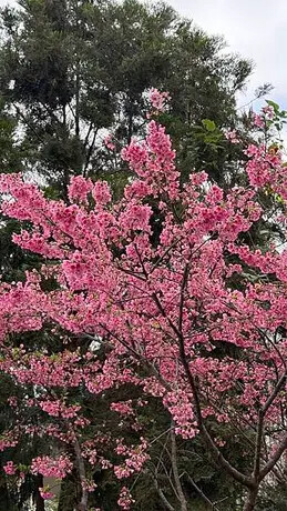 IMG_8155.jpg IMG_8155.jpg