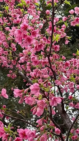 IMG_8160.jpg IMG_8160.jpg