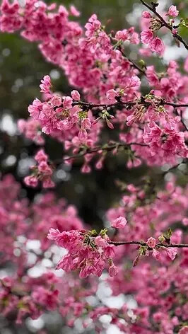 IMG_8159.jpg IMG_8159.jpg