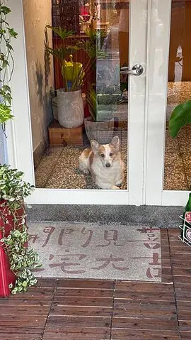 IMG_8147.jpg IMG_8147.jpg