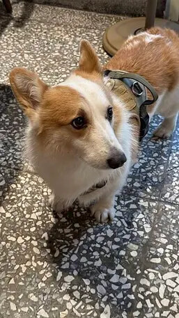 IMG_8165.jpg IMG_8165.jpg