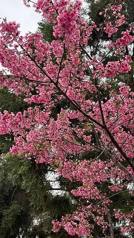 IMG_8149.jpg IMG_8149.jpg