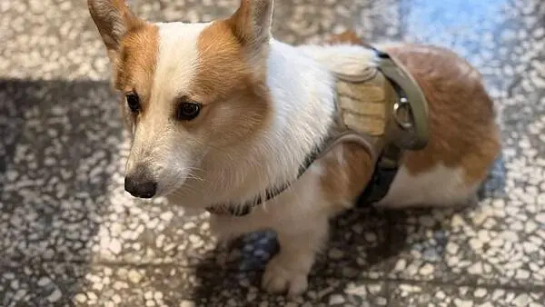 IMG_8167.jpg IMG_8167.jpg