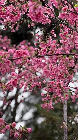 IMG_8163.jpg IMG_8163.jpg