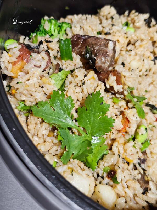 【冷凍食品】異塵牛肉麵食用心得 豪華牛肉麵開箱