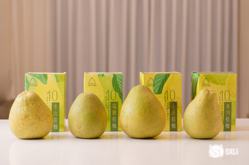 臺灣文旦大聯盟|期間限定拾柚禮盒,集結全台十大文旦產地 一次品嚐