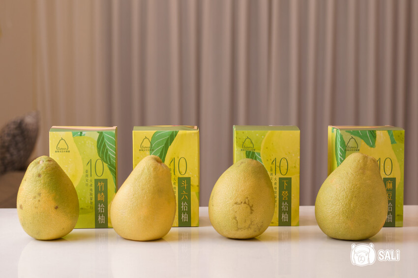 臺灣文旦大聯盟|期間限定拾柚禮盒,集結全台十大文旦產地 一次品嚐