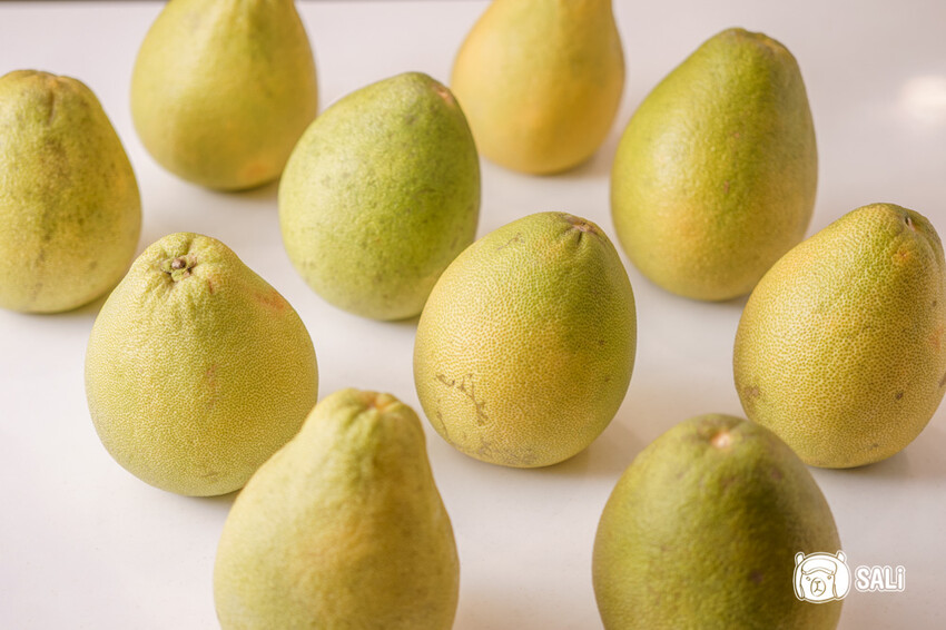 臺灣文旦大聯盟|期間限定拾柚禮盒,集結全台十大文旦產地 一次品嚐