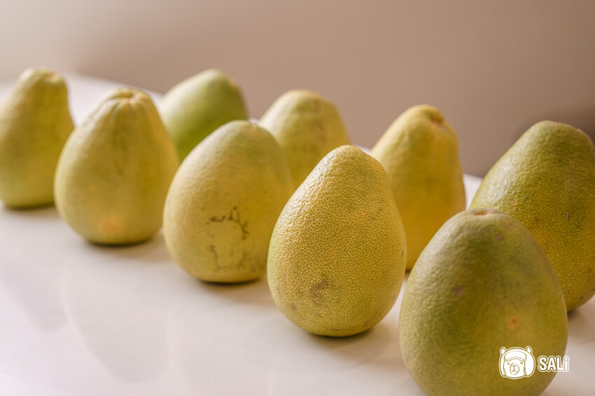 臺灣文旦大聯盟|期間限定拾柚禮盒,集結全台十大文旦產地 一次品嚐