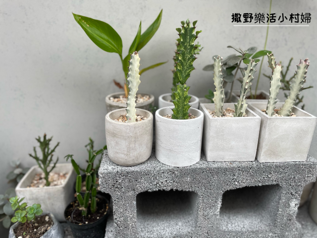 宜蘭早午餐【碳吉商行】日式碳烤吐司|鴨賞蛋餅|炙燒牛肉堡，好