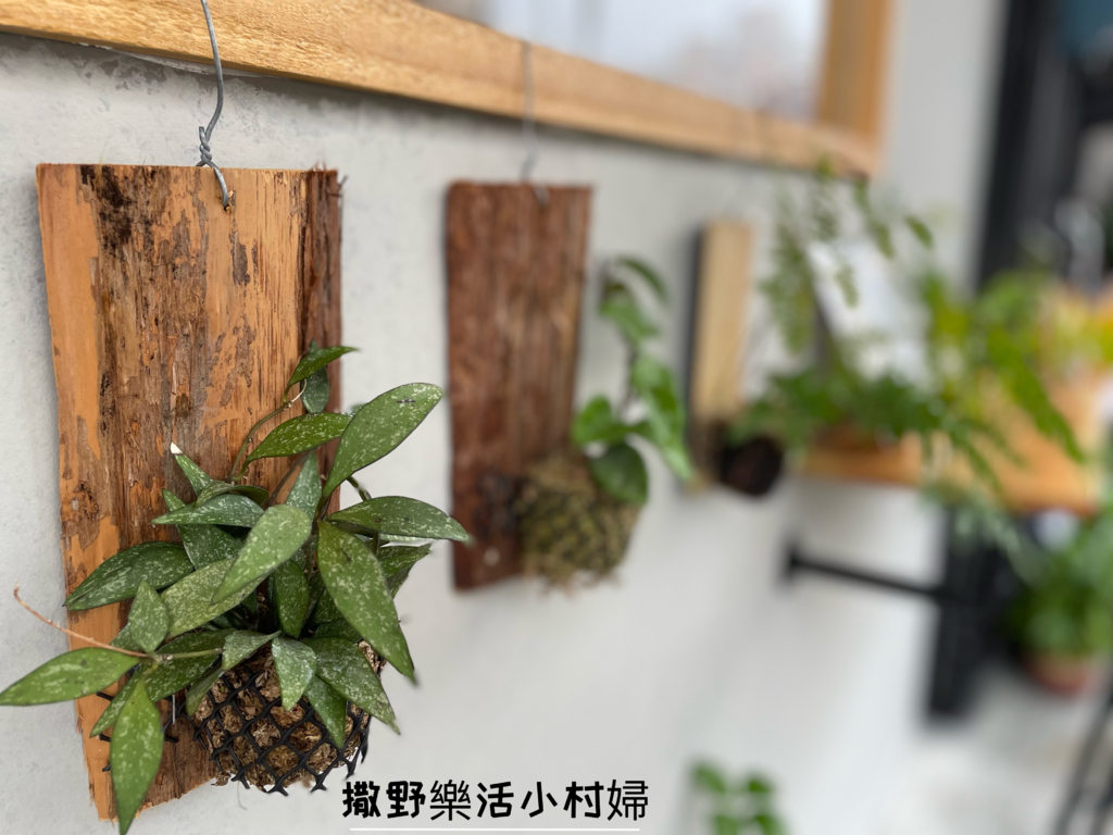 宜蘭早午餐【碳吉商行】日式碳烤吐司|鴨賞蛋餅|炙燒牛肉堡，好