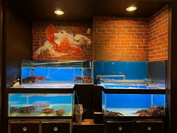 ＋（林口火鍋）採色鍋～活龍蝦海陸超澎派、入味滷牛肚超彈、九尾